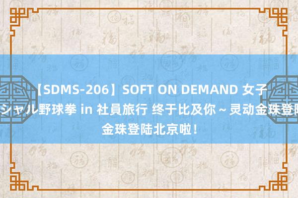 【SDMS-206】SOFT ON DEMAND 女子社員スペシャル野球拳 in 社員旅行 终于比及你～灵动金珠登陆北京啦！