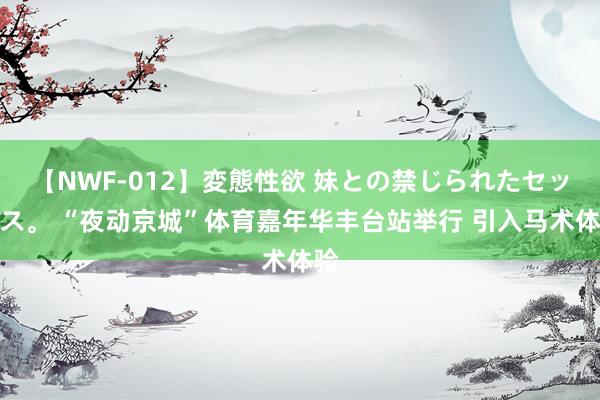 【NWF-012】変態性欲 妹との禁じられたセックス。 “夜动京城”体育嘉年华丰台站举行 引入马术体验