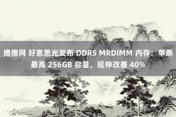 撸撸网 好意思光发布 DDR5 MRDIMM 内存：单条最高 256GB 容量，延伸改善 40%