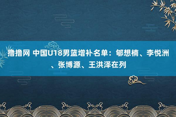 撸撸网 中国U18男篮增补名单：郇想楠、李悦洲、张博源、王洪泽在列