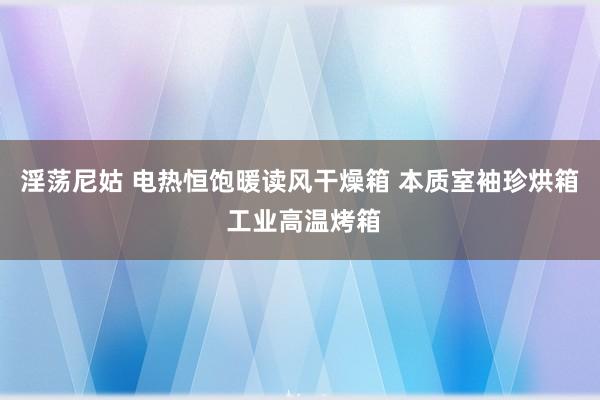 淫荡尼姑 电热恒饱暖读风干燥箱 本质室袖珍烘箱 工业高温烤箱