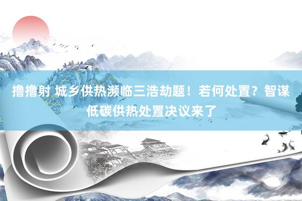 撸撸射 城乡供热濒临三浩劫题！若何处置？智谋低碳供热处置决议来了