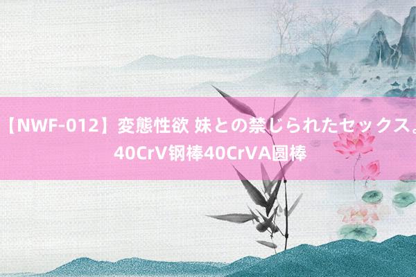 【NWF-012】変態性欲 妹との禁じられたセックス。 40CrV钢棒40CrVA圆棒