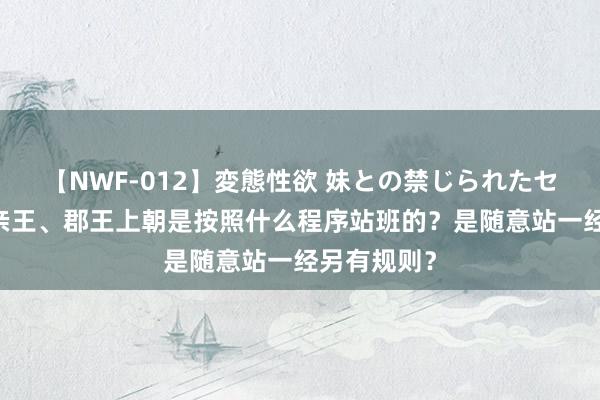 【NWF-012】変態性欲 妹との禁じられたセックス。 亲王、郡王上朝是按照什么程序站班的？是随意站一经另有规则？