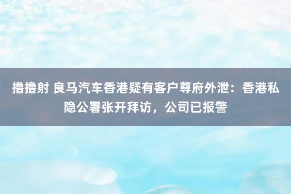 撸撸射 良马汽车香港疑有客户尊府外泄：香港私隐公署张开拜访，公司已报警