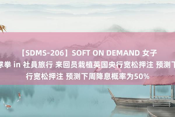 【SDMS-206】SOFT ON DEMAND 女子社員スペシャル野球拳 in 社員旅行 来回员栽植英国央行宽松押注 预测下周降息概率为50%