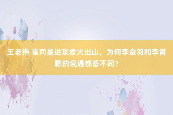 王老撸 雷同是进攻救火出山，为何李金羽和李霄鹏的境遇都备不同？