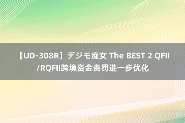 【UD-308R】デジモ痴女 The BEST 2 QFII/RQFII跨境资金责罚进一步优化