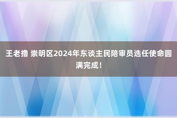 王老撸 崇明区2024年东谈主民陪审员选任使命圆满完成！