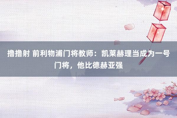 撸撸射 前利物浦门将教师：凯莱赫理当成为一号门将，他比德赫亚强