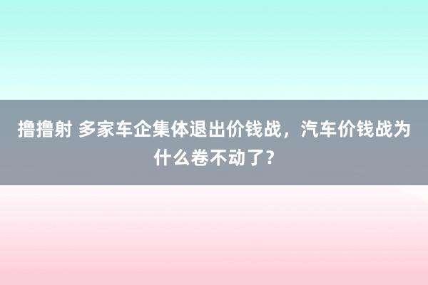 撸撸射 多家车企集体退出价钱战，汽车价钱战为什么卷不动了？