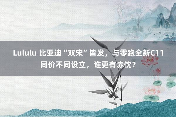 Lululu 比亚迪“双宋”皆发，与零跑全新C11同价不同设立，谁更有赤忱？