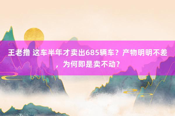 王老撸 这车半年才卖出685辆车？产物明明不差，为何即是卖不动？