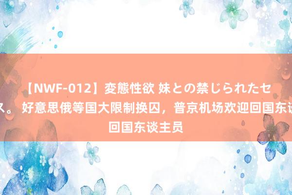 【NWF-012】変態性欲 妹との禁じられたセックス。 好意思俄等国大限制换囚，普京机场欢迎回国东谈主员