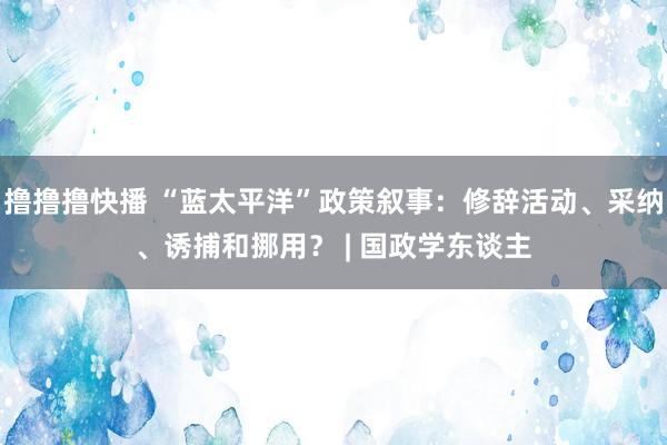 撸撸撸快播 “蓝太平洋”政策叙事：修辞活动、采纳、诱捕和挪用？ | 国政学东谈主