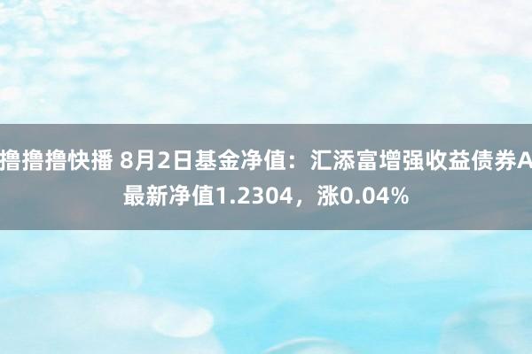 撸撸撸快播 8月2日基金净值：汇添富增强收益债券A最新净值1.2304，涨0.04%