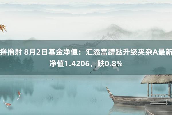 撸撸射 8月2日基金净值：汇添富蹧跶升级夹杂A最新净值1.4206，跌0.8%