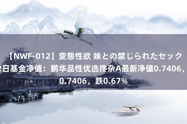 【NWF-012】変態性欲 妹との禁じられたセックス。 8月2日基金净值：鹏华品性优选搀杂A最新净值0.7406，跌0.67%