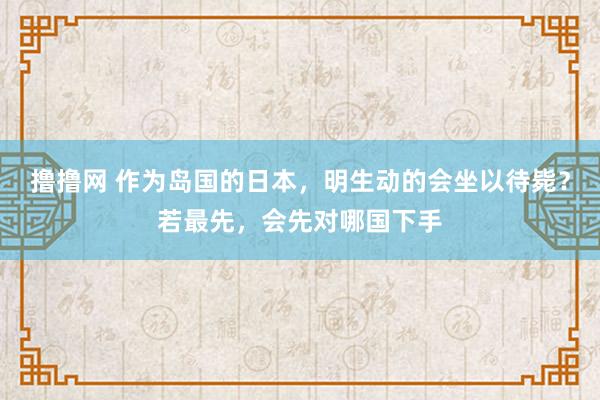 撸撸网 作为岛国的日本，明生动的会坐以待毙？若最先，会先对哪国下手