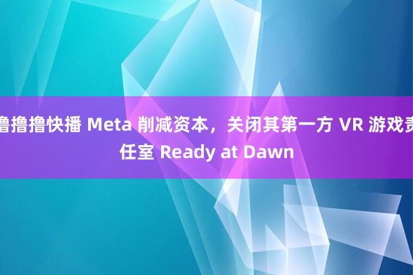 撸撸撸快播 Meta 削减资本，关闭其第一方 VR 游戏责任室 Ready at Dawn