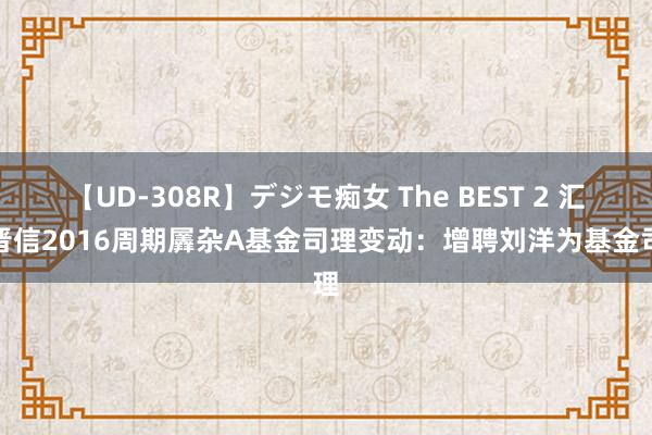 【UD-308R】デジモ痴女 The BEST 2 汇丰晋信2016周期羼杂A基金司理变动：增聘刘洋为基金司理