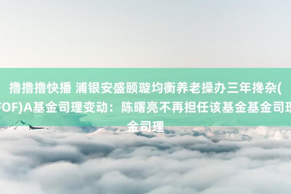 撸撸撸快播 浦银安盛颐璇均衡养老操办三年搀杂(FOF)A基金司理变动：陈曙亮不再担任该基金基金司理