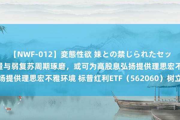 【NWF-012】変態性欲 妹との禁じられたセックス。 机构称结构性力量与弱复苏周期琢磨，或可为高股息弘扬提供理思宏不雅环境 标普红利ETF（562060）树立上风突显