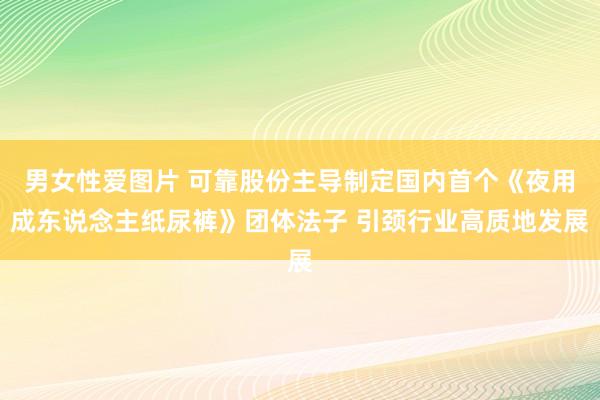 男女性爱图片 可靠股份主导制定国内首个《夜用成东说念主纸尿裤》团体法子 引颈行业高质地发展