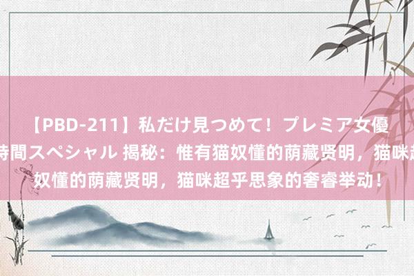 【PBD-211】私だけ見つめて！プレミア女優と主観でセックス8時間スペシャル 揭秘：惟有猫奴懂的荫藏贤明，猫咪超乎思象的奢睿举动！