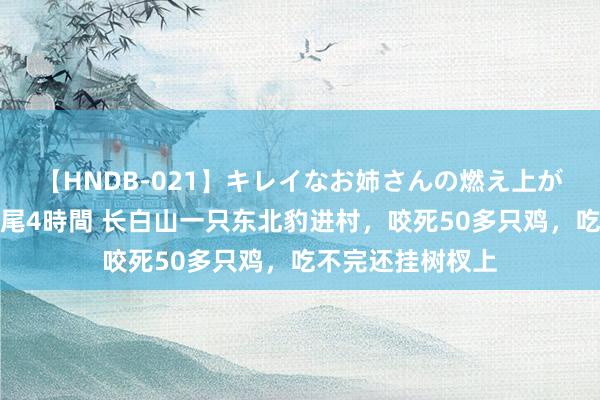 【HNDB-021】キレイなお姉さんの燃え上がる本物中出し交尾4時間 长白山一只东北豹进村，咬死50多只鸡，吃不完还挂树杈上