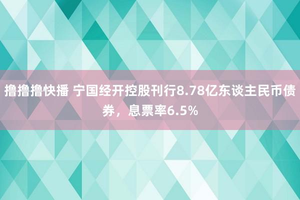 撸撸撸快播 宁国经开控股刊行8.78亿东谈主民币债券，息票率6.5%