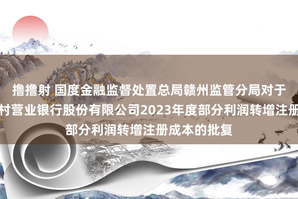 撸撸射 国度金融监督处置总局赣州监管分局对于容许赣州农村营业银行股份有限公司2023年度部分利润转增注册成本的批复