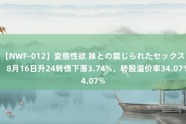 【NWF-012】変態性欲 妹との禁じられたセックス。 8月16日升24转债下落3.74%，转股溢价率34.07%