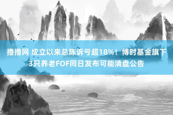 撸撸网 成立以来总陈诉亏超18%！博时基金旗下3只养老FOF同日发布可能清盘公告