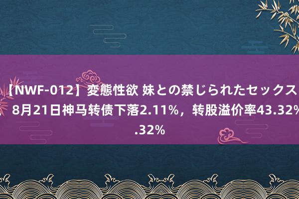 【NWF-012】変態性欲 妹との禁じられたセックス。 8月21日神马转债下落2.11%，转股溢价率43.32%