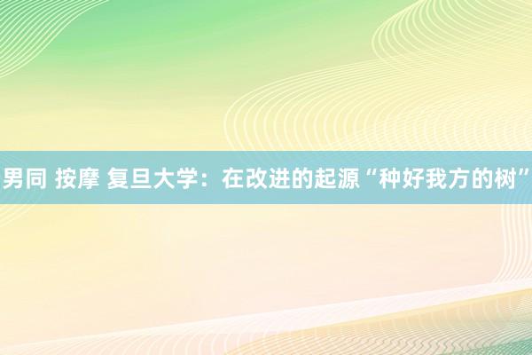 男同 按摩 复旦大学：在改进的起源“种好我方的树”