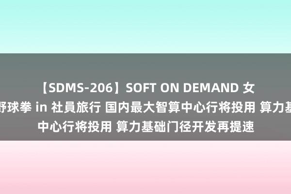 【SDMS-206】SOFT ON DEMAND 女子社員スペシャル野球拳 in 社員旅行 国内最大智算中心行将投用 算力基础门径开发再提速