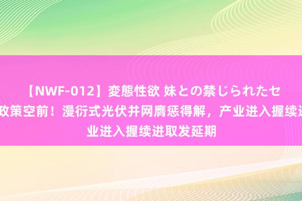 【NWF-012】変態性欲 妹との禁じられたセックス。 政策空前！漫衍式光伏并网膺惩得解，产业进入握续进取发延期