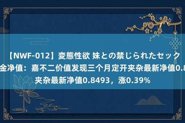 【NWF-012】変態性欲 妹との禁じられたセックス。 8月23日基金净值：嘉不二价值发现三个月定开夹杂最新净值0.8493，涨0.39%