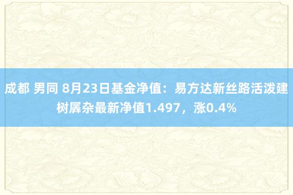 成都 男同 8月23日基金净值：易方达新丝路活泼建树羼杂最新净值1.497，涨0.4%