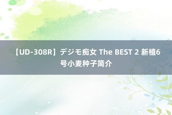 【UD-308R】デジモ痴女 The BEST 2 新植6号小麦种子简介