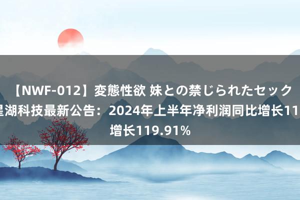 【NWF-012】変態性欲 妹との禁じられたセックス。 星湖科技最新公告：2024年上半年净利润同比增长119.91%