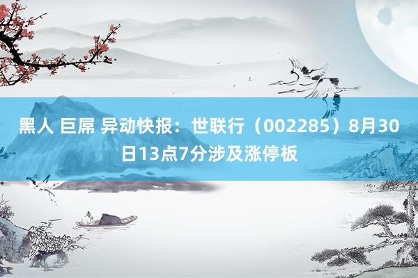 黑人 巨屌 异动快报：世联行（002285）8月30日13点7分涉及涨停板