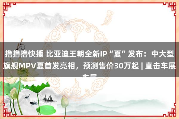 撸撸撸快播 比亚迪王朝全新IP“夏”发布：中大型旗舰MPV夏首发亮相，预测售价30万起 | 直击车展