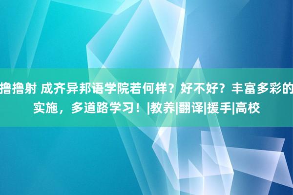 撸撸射 成齐异邦语学院若何样？好不好？丰富多彩的实施，多道路学习！|教养|翻译|援手|高校