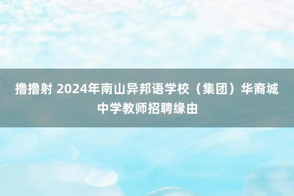 撸撸射 2024年南山异邦语学校（集团）华裔城中学教师招聘缘由