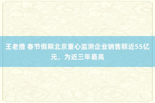 王老撸 春节假期北京重心监测企业销售额近55亿元，为近三年最高