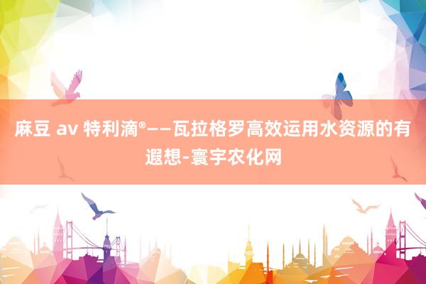 麻豆 av 特利滴®——瓦拉格罗高效运用水资源的有遐想-寰宇农化网