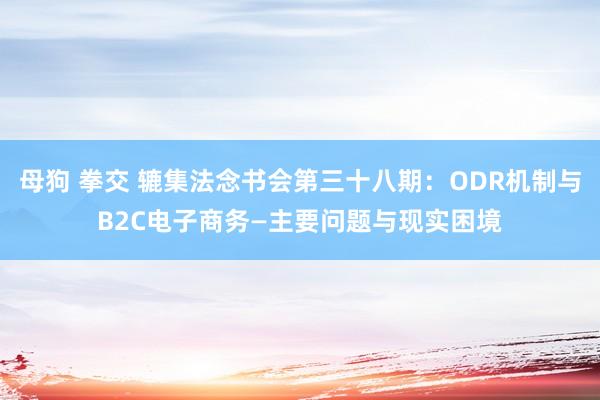 母狗 拳交 辘集法念书会第三十八期：ODR机制与B2C电子商务—主要问题与现实困境