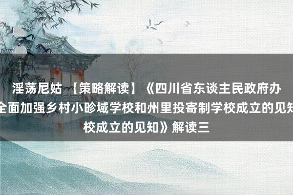 淫荡尼姑 【策略解读】《四川省东谈主民政府办公厅对于全面加强乡村小畛域学校和州里投寄制学校成立的见知》解读三